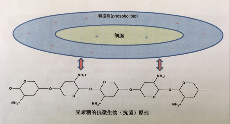 圖片關鍵詞